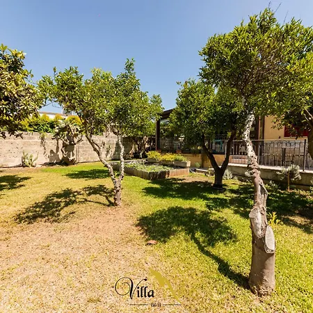 Nike Bed & Breakfast