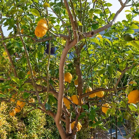 Nike Bed & Breakfast San Foca