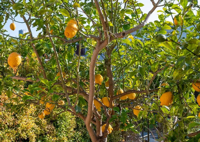 Nike Bed & Breakfast San Foca